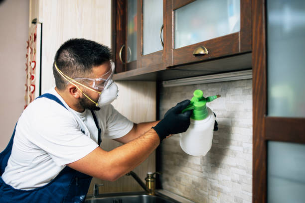 Best Wildlife Control Services  in Hot Springs, AR