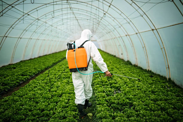 Best Pest Inspection Near Me  in Hot Springs, AR