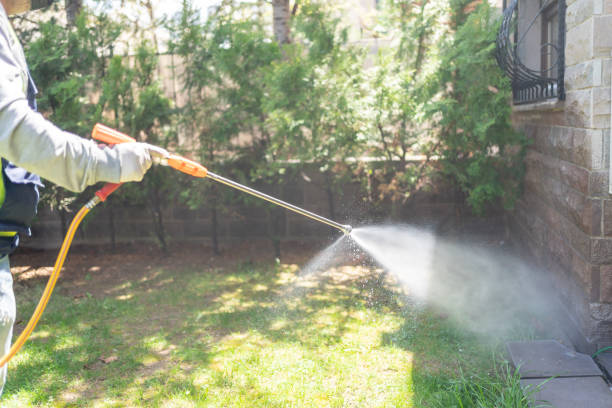 Best Local Pest Control Services  in Hot Springs, AR