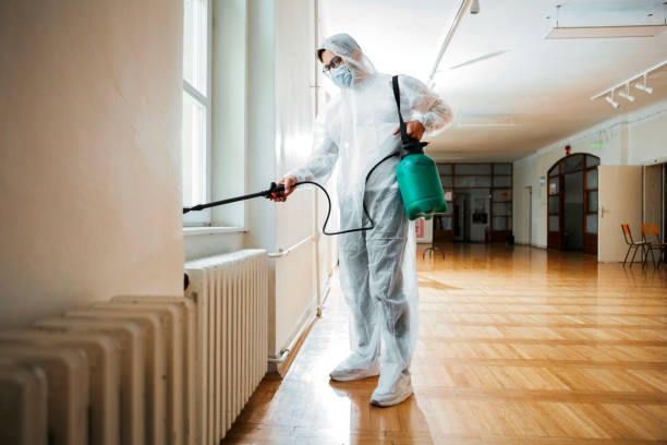 Best Rat Extermination Near Me  in Hot Springs, AR