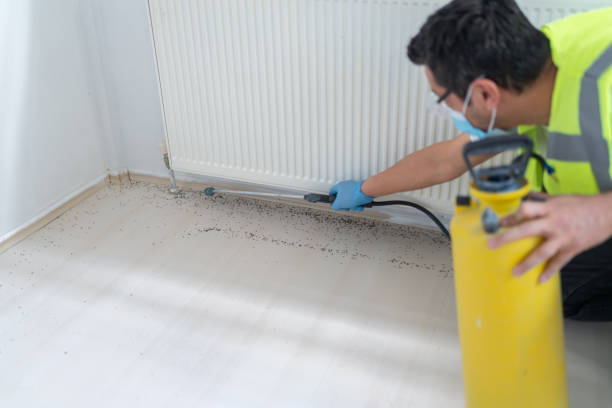 Best Cockroach Control Services  in Hot Springs, AR