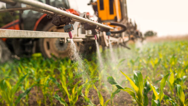 Best Commercial Pest Control Services  in Hot Springs, AR